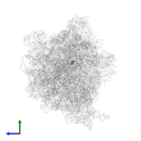 Modified residue OMG in PDB entry 6osk, assembly 1, side view.