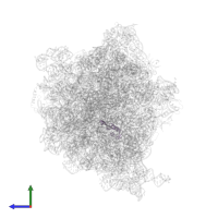 Large ribosomal subunit protein uL22 in PDB entry 6osq, assembly 1, side view.