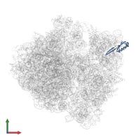 Small ribosomal subunit protein uS10 in PDB entry 6osq, assembly 1, front view.