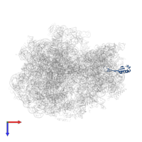 Small ribosomal subunit protein uS10 in PDB entry 6osq, assembly 1, top view.