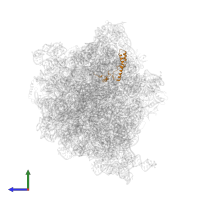 Small ribosomal subunit protein uS14 in PDB entry 6osq, assembly 1, side view.