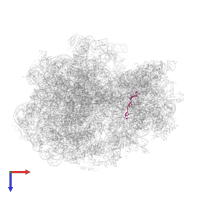 Messenger RNA in PDB entry 6osq, assembly 1, top view.