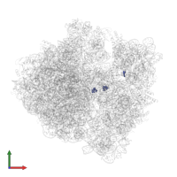 Modified residue 5MC in PDB entry 6osq, assembly 1, front view.