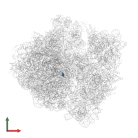 Modified residue OMU in PDB entry 6osq, assembly 1, front view.