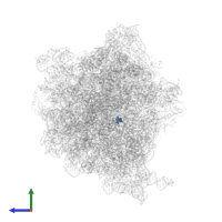 Modified residue OMU in PDB entry 6osq, assembly 1, side view.