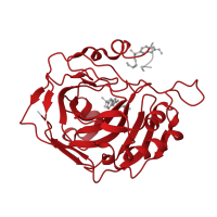 The deposited structure of PDB entry 6ouk contains 1 copy of Pfam domain PF00194 (Eukaryotic-type carbonic anhydrase) in Carbonic anhydrase 2. Showing 1 copy in chain A.