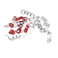 The deposited structure of PDB entry 6p07 contains 6 copies of Pfam domain PF00004 (ATPase family associated with various cellular activities (AAA)) in Spastin. Showing 1 copy in chain B.