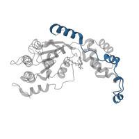 The deposited structure of PDB entry 6p07 contains 6 copies of Pfam domain PF09336 (Vps4 C terminal oligomerisation domain) in Spastin. Showing 1 copy in chain B.