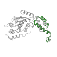 The deposited structure of PDB entry 6p07 contains 6 copies of Pfam domain PF17862 (AAA+ lid domain) in Spastin. Showing 1 copy in chain B.
