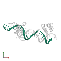 26 NUCLEOTIDE DNA in PDB entry 6pax, assembly 1, front view.