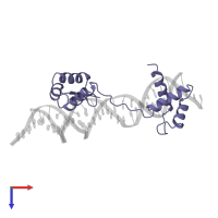 Paired box protein Pax-6 in PDB entry 6pax, assembly 1, top view.