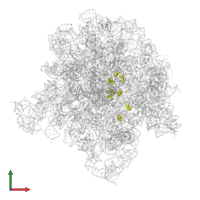 Modified residue PSU in PDB entry 6pc7, assembly 1, front view.