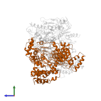 DNA 3'-5' helicase in PDB entry 6ppr, assembly 1, side view.