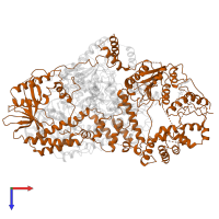 DNA 3'-5' helicase in PDB entry 6ppr, assembly 1, top view.