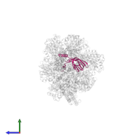 ATP synthase epsilon chain in PDB entry 6pqv, assembly 1, side view.