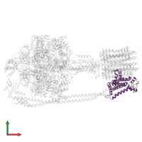 ATP synthase subunit a in PDB entry 6pqv, assembly 1, front view.