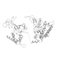 The deposited structure of PDB entry 6ptn contains 2 copies of Pfam domain PF18263 (MCM6 C-terminal winged-helix domain) in DNA replication licensing factor MCM6. Showing 1 copy in chain X [auth 6] (this domain is out of the observed residue ranges!).