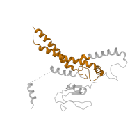 The deposited structure of PDB entry 6ptn contains 2 copies of Pfam domain PF05916 (GINS complex protein) in DNA replication complex GINS protein SLD5. Showing 1 copy in chain R [auth D].