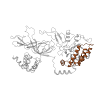 The deposited structure of PDB entry 6ptn contains 2 copies of Pfam domain PF17855 (MCM AAA-lid domain) in DNA replication licensing factor MCM3. Showing 1 copy in chain U [auth 3].