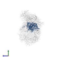 Minichromosome maintenance protein 5 in PDB entry 6ptn, assembly 1, side view.