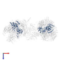 Minichromosome maintenance protein 5 in PDB entry 6ptn, assembly 1, top view.