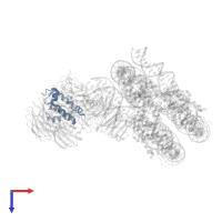 Protein dpy-30 homolog in PDB entry 6pwv, assembly 1, top view.