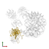 Set1/Ash2 histone methyltransferase complex subunit ASH2 in PDB entry 6pwv, assembly 1, front view.