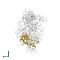 Set1/Ash2 histone methyltransferase complex subunit ASH2 in PDB entry 6pwv, assembly 1, side view.