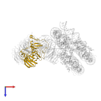Set1/Ash2 histone methyltransferase complex subunit ASH2 in PDB entry 6pwv, assembly 1, top view.
