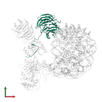 Retinoblastoma-binding protein 5 in PDB entry 6pwv, assembly 1, front view.