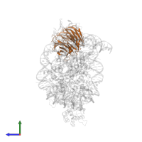 WD repeat-containing protein 5 in PDB entry 6pwv, assembly 1, side view.