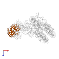 WD repeat-containing protein 5 in PDB entry 6pwv, assembly 1, top view.