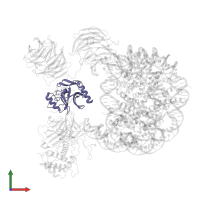 MLL cleavage product C180 in PDB entry 6pwv, assembly 1, front view.