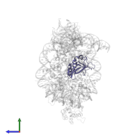 MLL cleavage product C180 in PDB entry 6pwv, assembly 1, side view.