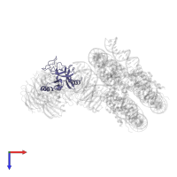 MLL cleavage product C180 in PDB entry 6pwv, assembly 1, top view.