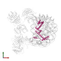 Histone H3.2 in PDB entry 6pwv, assembly 1, front view.