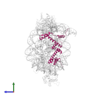 Histone H3.2 in PDB entry 6pwv, assembly 1, side view.