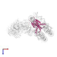 Histone H3.2 in PDB entry 6pwv, assembly 1, top view.
