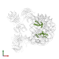 Histone H4 in PDB entry 6pwv, assembly 1, front view.