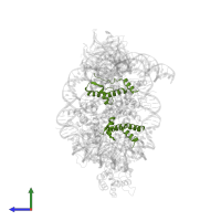 Histone H4 in PDB entry 6pwv, assembly 1, side view.