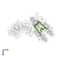Histone H4 in PDB entry 6pwv, assembly 1, top view.
