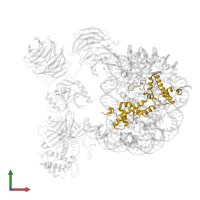 Histone H2A type 1 in PDB entry 6pwv, assembly 1, front view.