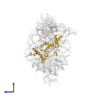 Histone H2A type 1 in PDB entry 6pwv, assembly 1, side view.