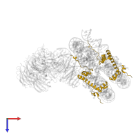 Histone H2A type 1 in PDB entry 6pwv, assembly 1, top view.