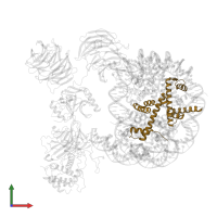 Histone H2B 1.1 in PDB entry 6pwv, assembly 1, front view.