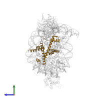 Histone H2B 1.1 in PDB entry 6pwv, assembly 1, side view.