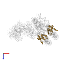 Histone H2B 1.1 in PDB entry 6pwv, assembly 1, top view.