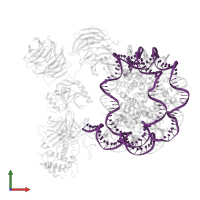 DNA (147-MER) in PDB entry 6pwv, assembly 1, front view.