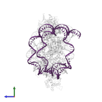 DNA (147-MER) in PDB entry 6pwv, assembly 1, side view.