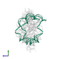 DNA (147-MER) in PDB entry 6pwv, assembly 1, side view.